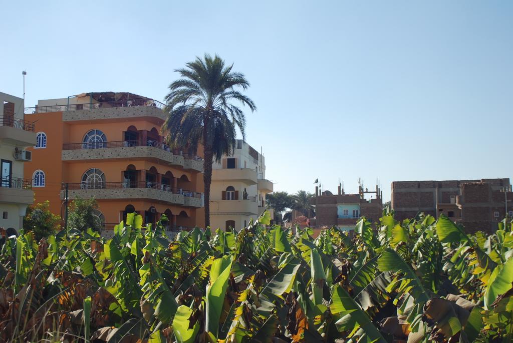 Al Gezera Apartments الأقصر الغرفة الصورة